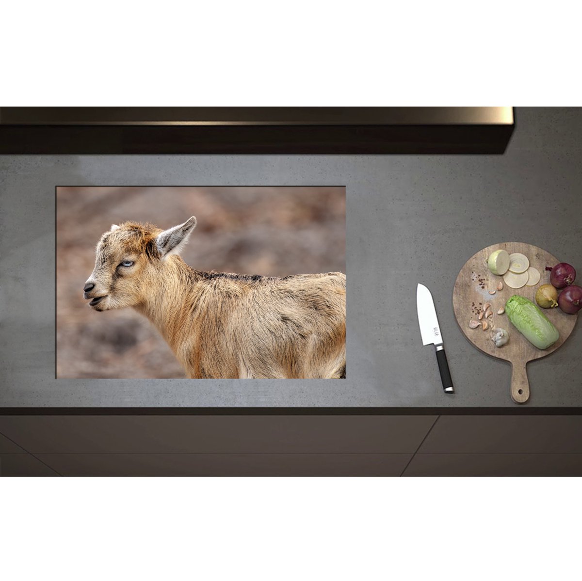 Inductieplaat Beschermer - Bruine Baby Geit met Felblauwe Ogen - 75x50 cm - 2 mm Dik - Inductie Beschermer - Bescherming Inductiekookplaat - Kookplaat Beschermer van Zwart Vinyl