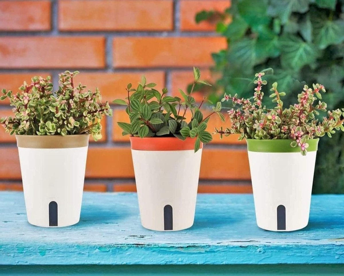 Zelfbewaterende plantenpot 145 cm tuin bloem bonsaipotten waterniveauvenster afvoergat 3 stuks