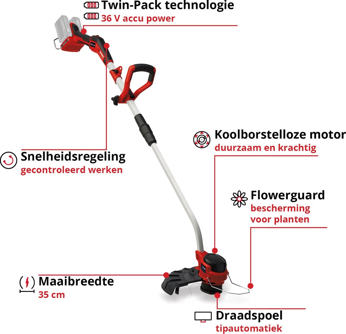 Afbeelding 2 van Einhell Accu Grastrimmer GP-CT 36/35 Li BL Solo - Power X-Change - 36 V/Li-ion - Maaidiameter: 35 cm - Elektrische toerentalregeling - Draagriem - Excl. accu en lader
