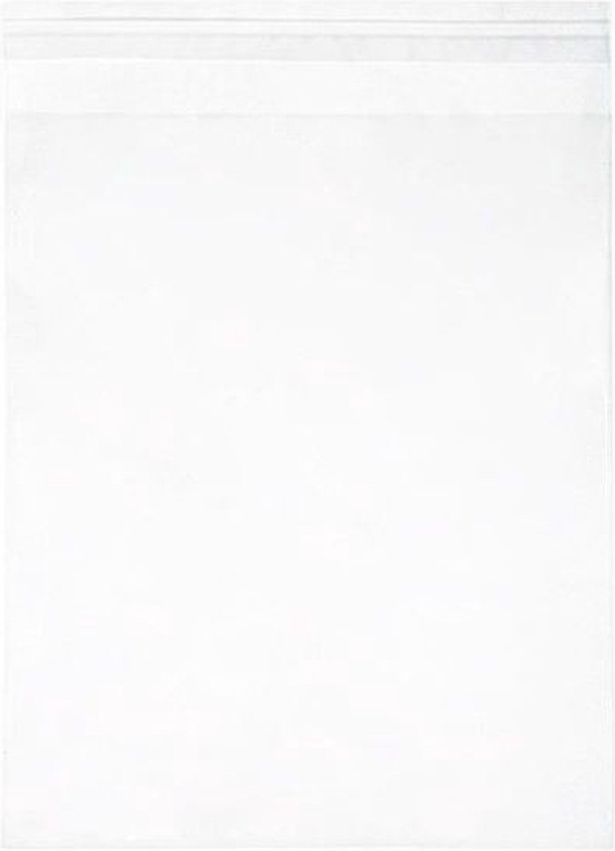 Goedkoopste Milieuvriendelijke Zakjes Bioplastic 220x300 mm - 100 st