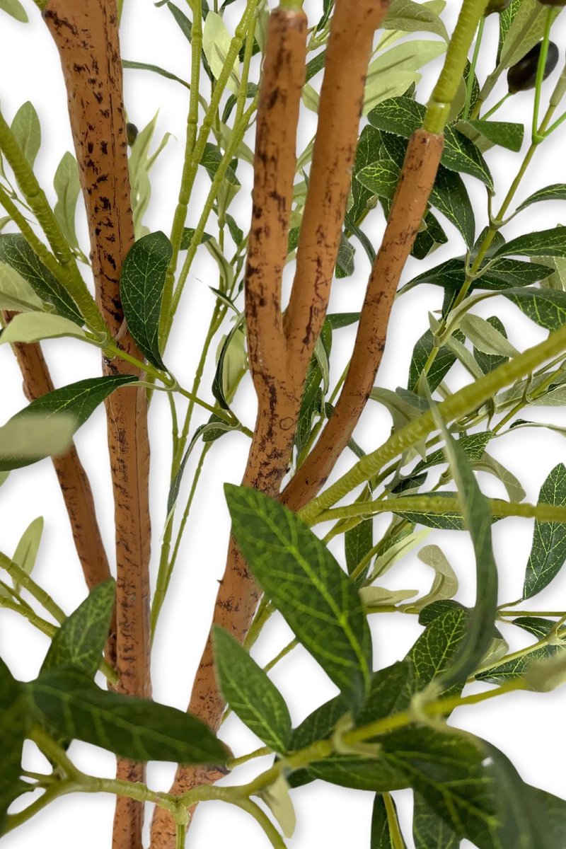 Kunst Olijfboom - Olea europaea - 180 cm – Forest Plants