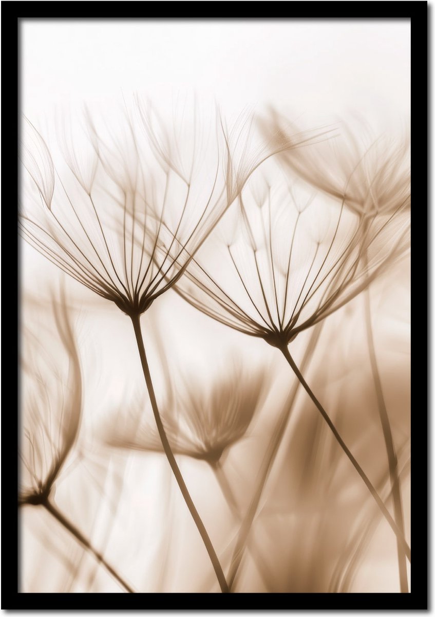 Plakkers Poster pluisjes van paardenbloemen - 30cm x 40cm - vintage - woonkamer - slaapkamer - bloemen posters - goedkoop - muurposter - natuur - wanddecoratie Full-colour