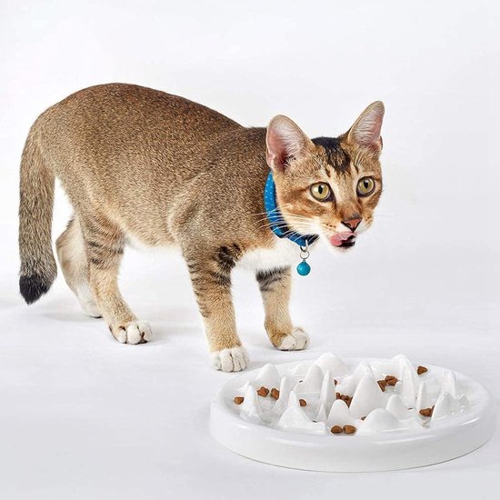 MEWOOFUN Groot kattenbed, stevig houten poten, verhoogde kattenslaapbank, kittenbed voor binnenkatten - zachte kattenbank met afneembare hoes voor 15 kg (grijs, 56 x 45 cm