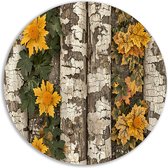 Bomen rond schilderij - Natuur wandcirkels - Wandcirkels Bladeren - Muurdecoratie modern - Wandbord - Slaapkamer accessoires muurcirkel forex 100x100 cm