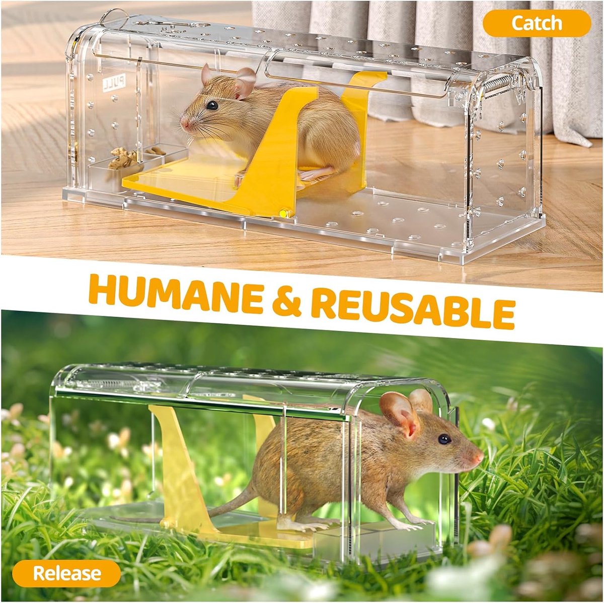 Piège à Souris Vivant XXL - Cage En Acier Galvanisé, 29x14x12 Cm, Réutilisable, Sans Cruauté, Pour Souris, Campagnols, Etc.