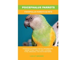 Poicephalus Parrots