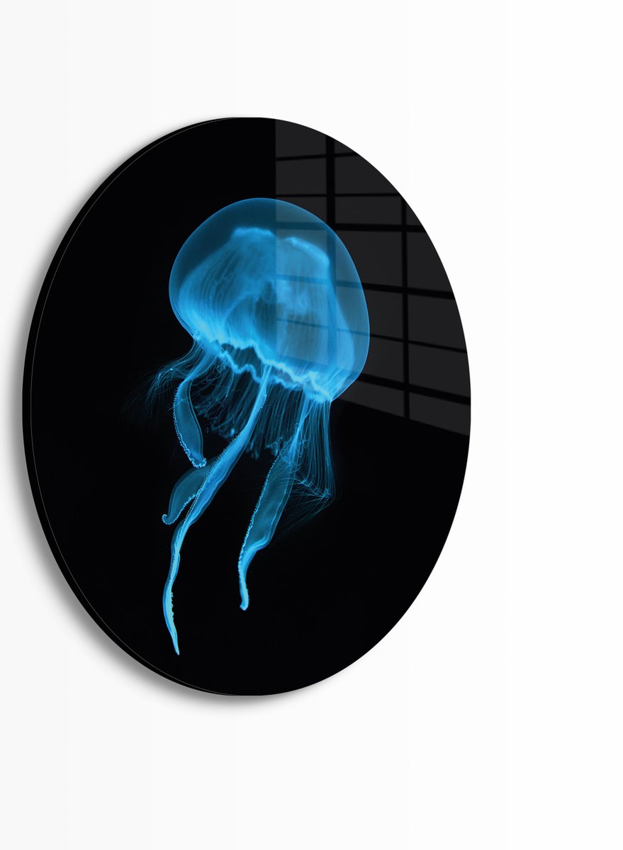 Myfinto Indoorart - Muurcirkel Kwal Plexiglas 90 cm - Wanddecoratie - Afbeelding op Plexiglas - Inclusief ophangplaat blauw, zwart