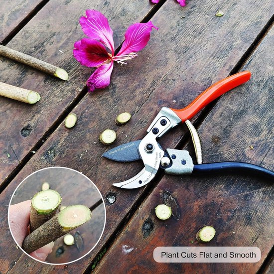 Robuuste fruitboom takkenschaar Bonsai Gardening trimming