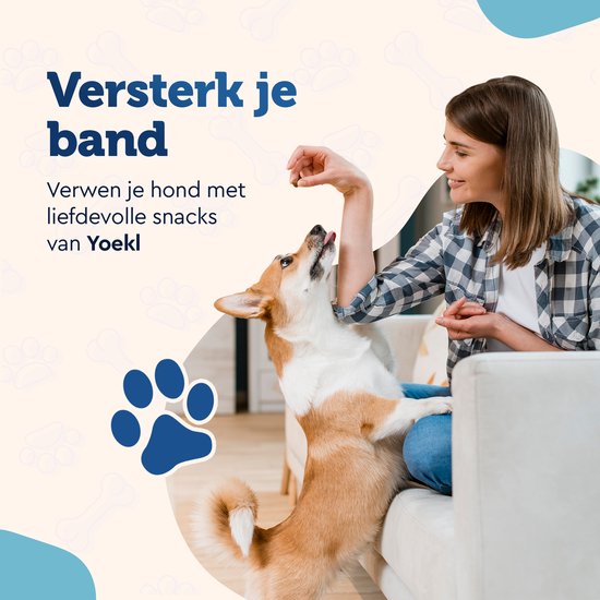 Vrouw met geruite blouse geeft corgi, zittend op de bank, snacks