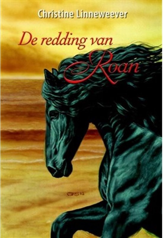 Boekcover met een zwarte Fries die naar rechts galoppeert op een strand.