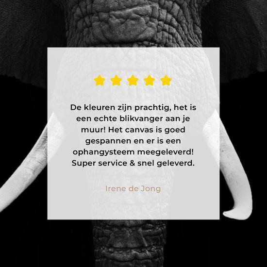 Canvas - Dieren - Olifant - Zwart - Wit - Muurdecoratie - 20x20 cm - Foto op canvas - Canvas schilderijen woonkamer
