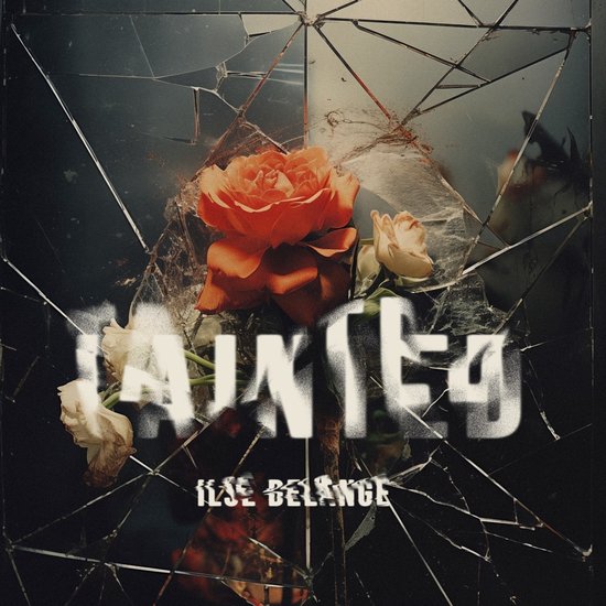 Artwork van de CD "Tainted" van Ilse DeLange, met rozen en gebroken spiegel.