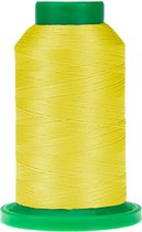 Amann Isacord 1000mtr couleur n°221