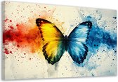 Vlinder portret - Dieren schilderijen - Canvas schilderijen Spatten - Wanddecoratie kinderkamer - Canvas schilderijen - Woonaccessoires canvas 100x75 cm