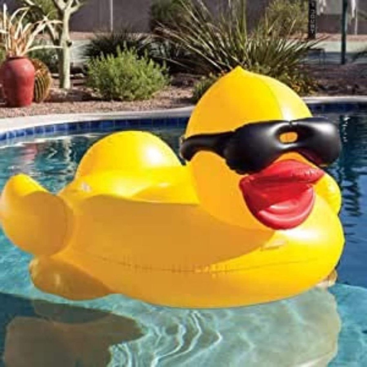 Goedkoopste Reuze badeend - reuze eend - Luchtmatras - zwembad - zonnen Swimming Pool Tanning - Inflatable Pool Float Suntan Tub Lounger - Duck Tank Pool Toy - Pool Toys - Content in HTML