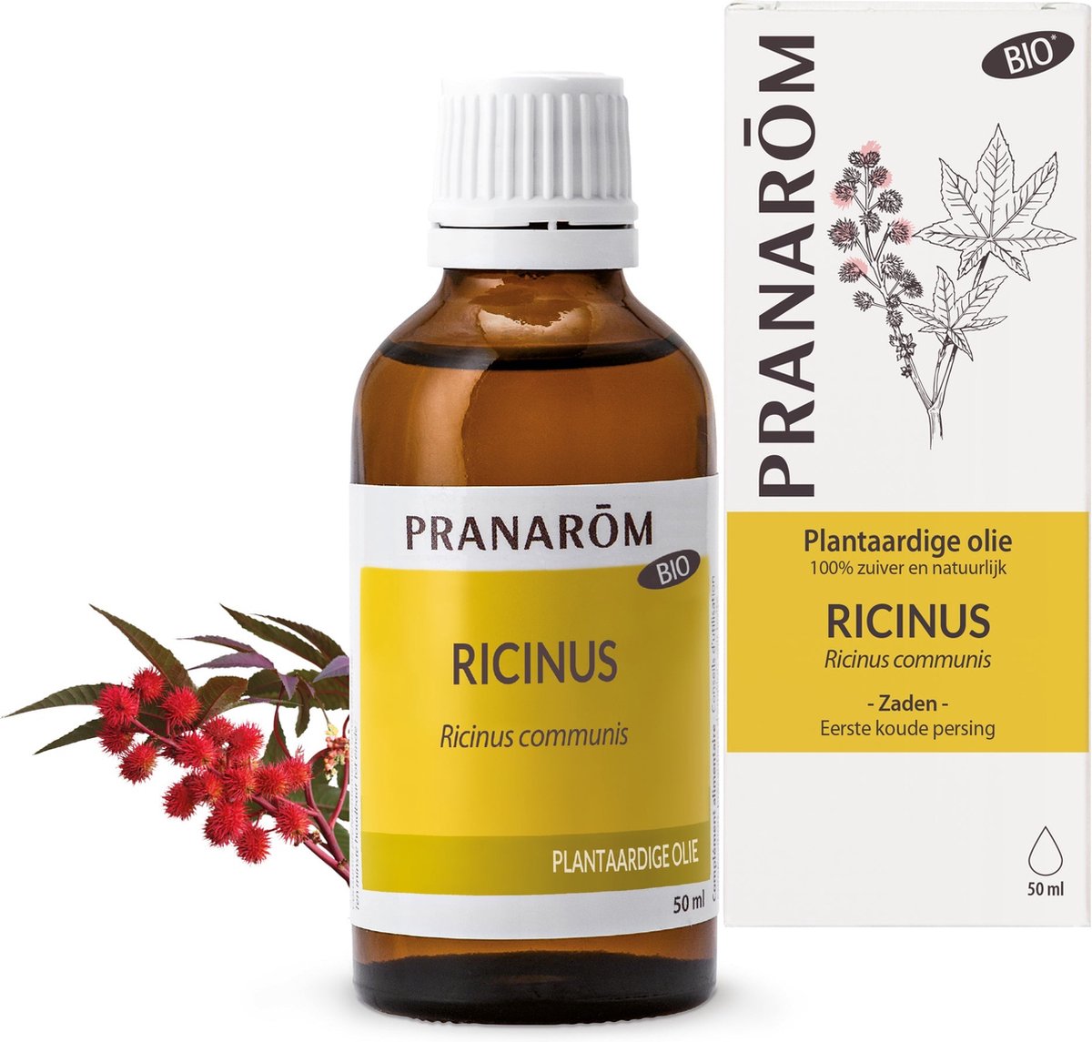 Pranarom - Castor Plantaardige Olie - Bio - 50 ml