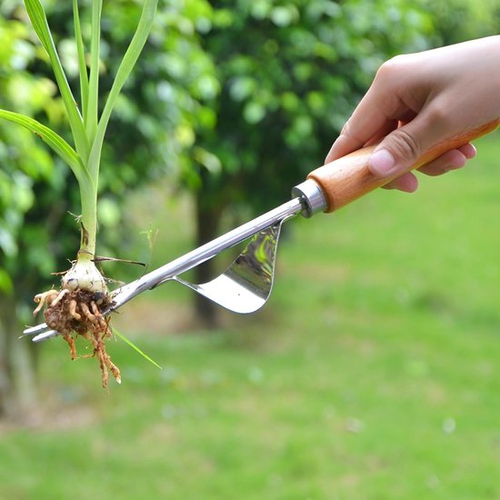 2 stuks onkruidvorken - tuingereedschap van roestvrij staal met houten handvat - voor tuinieren en verplanten weed cutter van TalenTools — afbeelding 5