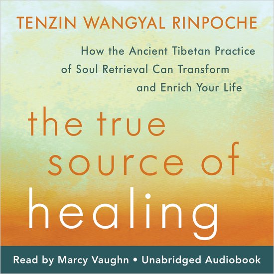 The True Source of Healing - cover