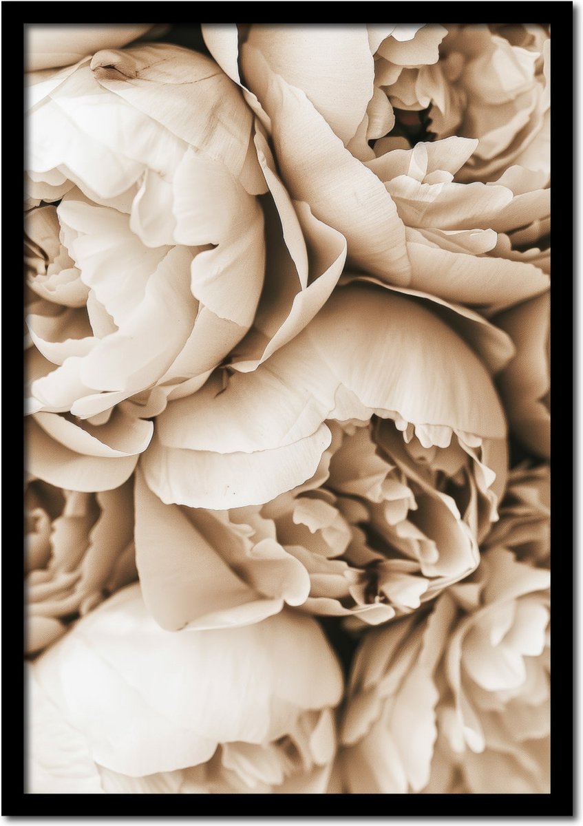 Plakkers Poster witte pioenroos - 21cm x 30cm a4 - vintage - woonkamer - slaapkamer - bloemen posters - goedkoop - muurposter - natuur - wanddecoratie Full-colour
