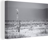 Canvas Schilderij Grote giraffe in zwart-wit - 90x60 cm - Wanddecoratie