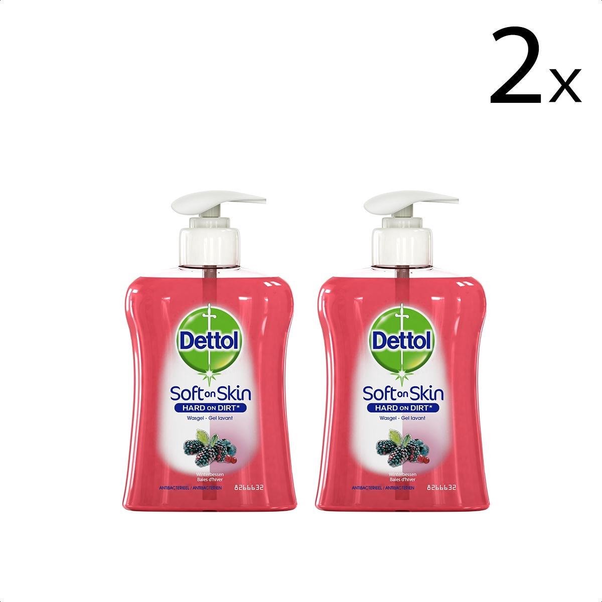 Goedkoopste Dettol Handzeep - Winterbessen - 250ml x2