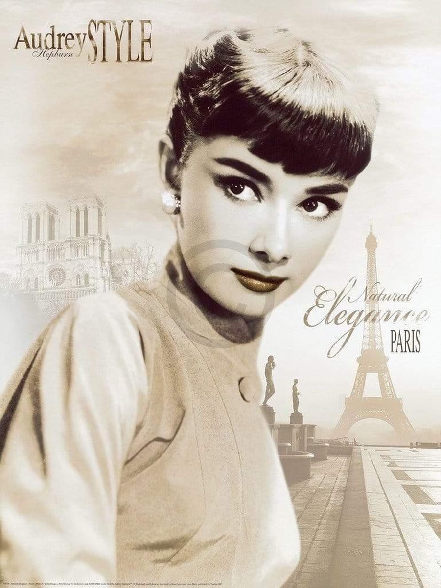 PGM Kunstdruk Tashimoto - Natural Elegance - Paris 60x80cm Divers