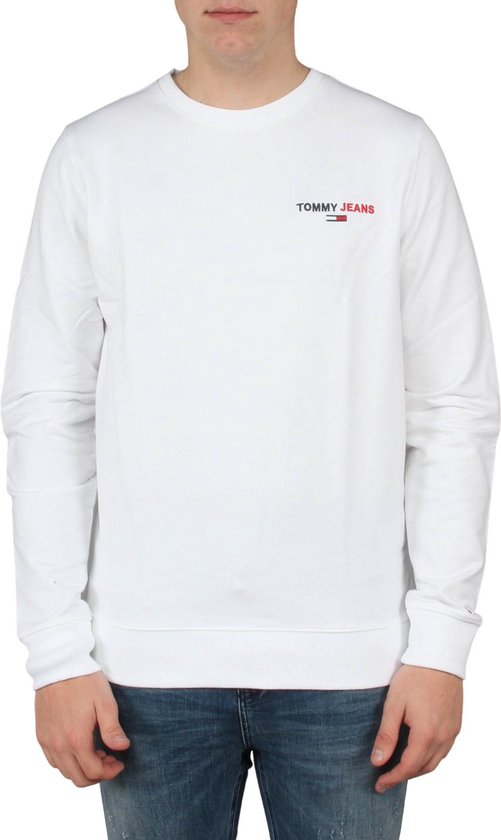 Tommy Hilfiger Sweater Wit (DM0DM08729 - YBR) | bol.com