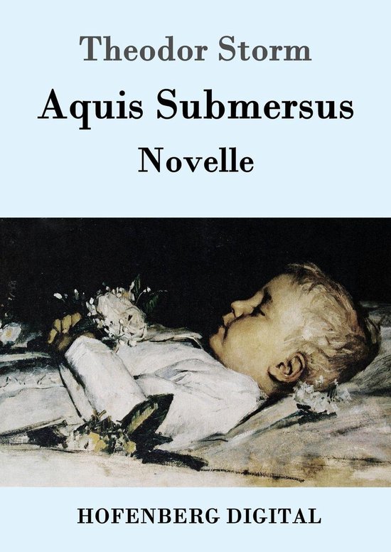 Aquis Submersus (ebook), Theodor Storm | 9783743700604 | Boeken | bol.com