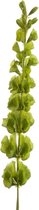 Kunstbloem Mollucella - Polyester - Groen - 80 cm hoog