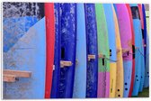 Forex - Verschillende Kleuren Surfborden - 60x40cm Foto op Forex