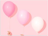 Poster – Roze Ballonnen op Roze Achtergrond - 40x30cm Foto op Posterpapier