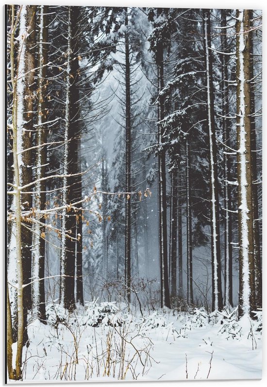 Dibond - Besneeuwd Bos met Bomen  - 40x60cm Foto op Aluminium (Wanddecoratie van metaal)