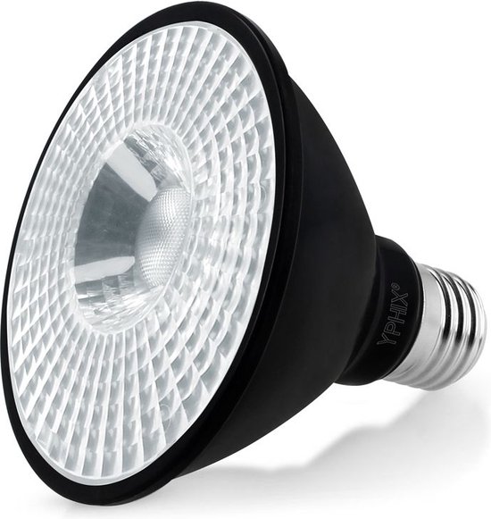 Bewijzen Accountant Discrepantie E27 LED lamp Pollux Par 30 11W 3000K dimbaar zwart | bol.com