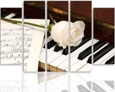 Schilderij Witte roos op piano, 5 luik, 4 maten, premium print