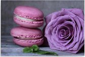 Schilderij - Roze macarons en paarse roos