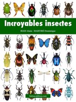 Nature - Incroyables insectes