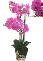 Levensechte Kunst Orchidee / Phalaenopsis plant 75 cm met pot ( 5-taks vol bloemen) kleur Roze - Kunstplant