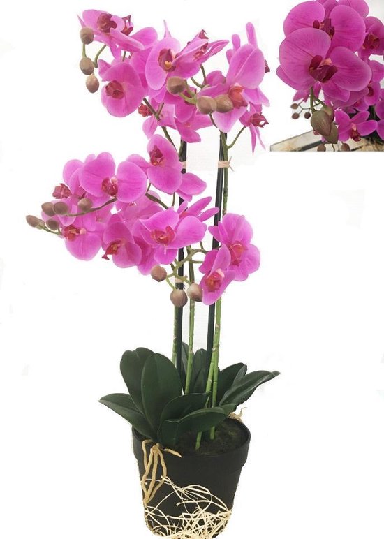 Ontvangst logo instant Levensechte Kunst Orchidee / Phalaenopsis plant 75 cm met pot ( 5-taks vol  bloemen)... | bol.com