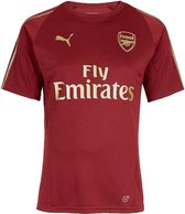 Puma Arsenal FC Training Jr Tee 753267-03, Kinderen, Kastanjebruin, t-shirt, maat:  EU