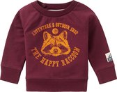 Noppies Baby Jongens Sweater Vredendal - Dusty Red - Maat 50