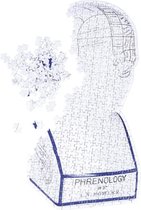 Doiy Legpuzzel Frenologie 59 Cm Papier Wit 500 Stuks