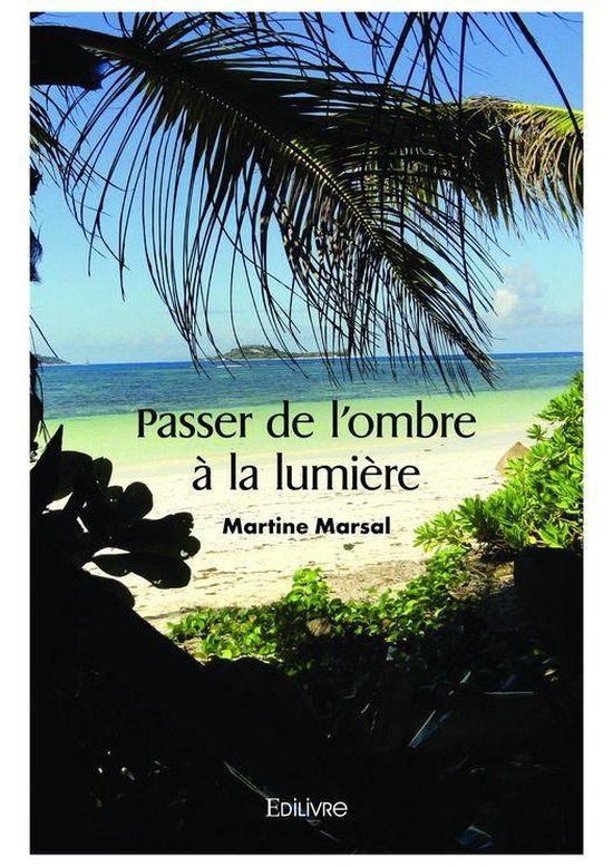 Passer de l'ombre à la lumière (ebook), Martine Marsal | 9782414449439 |  Livres | bol.com
