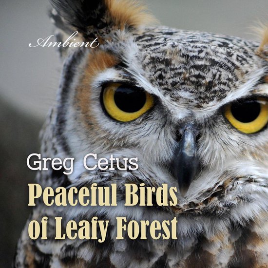Peaceful Birds of Leafy Forest - cover