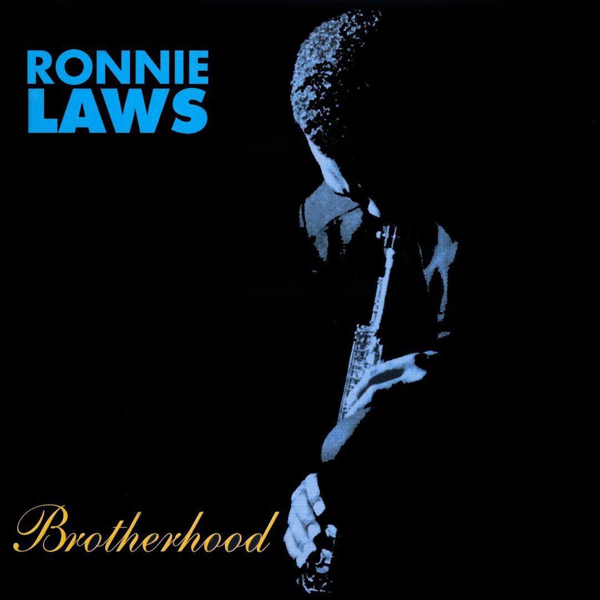 Ronnie Laws - Brotherhood (CD)