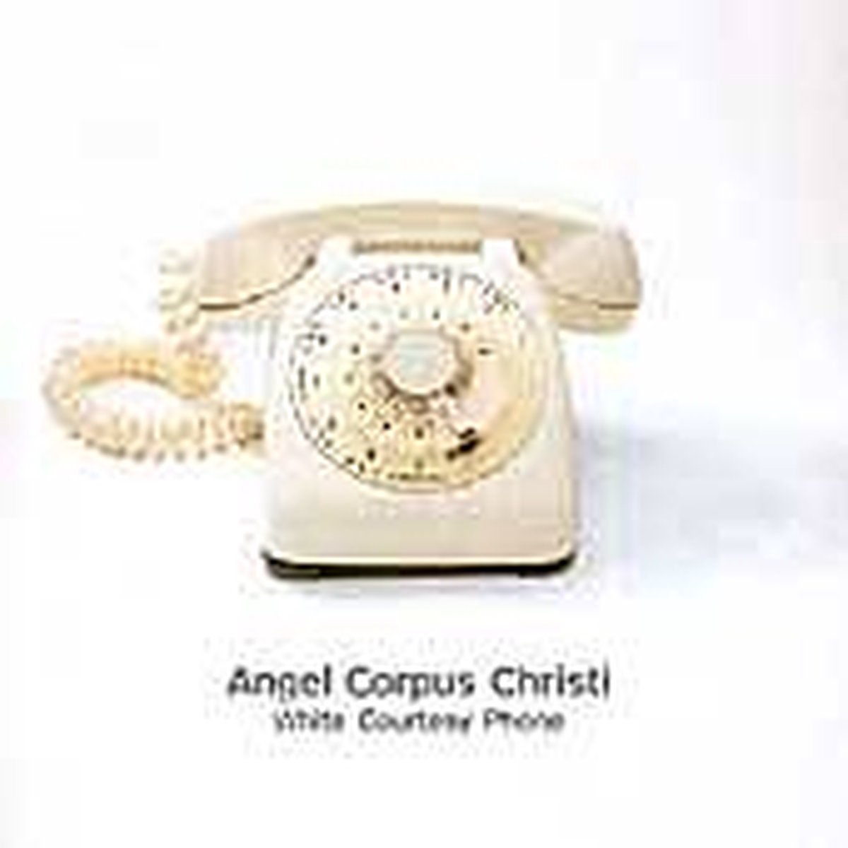 White Courtesy Phone