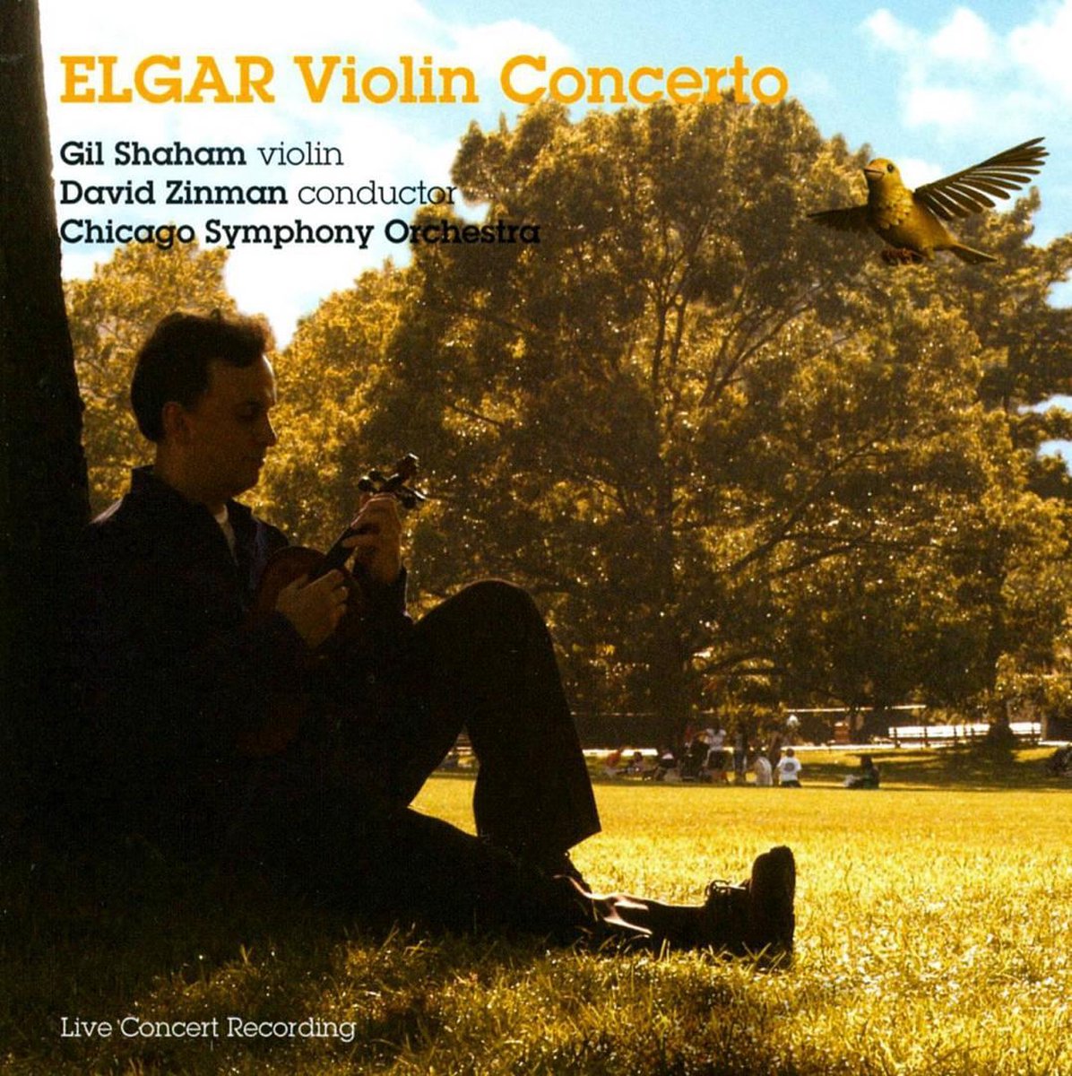 Violin Concerto