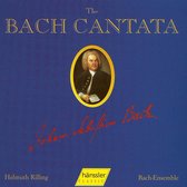 Cantatas vol. 45 / Uitvoerenden = Bach-Ensemble/Helmuth Rilling