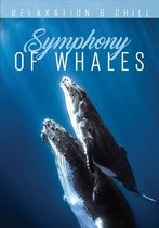 Relax Series - Symphony Of Whales (DVD)