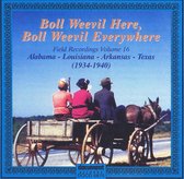Boll Weevil Here Boll Weevil Everywhere // 1939-1940 Recordings