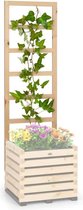 Blumfeldt Modu Grow 50 UP stellage rankhulp klimhulp voor slinger- en klimplanten , 151 x 50 x 3 cm  ,  Europees dennenhout